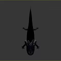 Axolotl Aquatic Creature With External Gills Sleek Body And Flat Tail