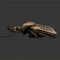 Striped Flying Beetle Showcasing Detailed Exoskeleton Texture Antennae And Legs On Dark Background