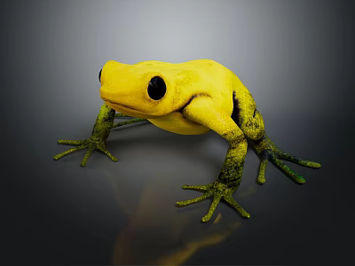 Yellow Frog With Green Spotted Limbs On Dark Background And Reflection 3d model