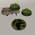 Bonsai Potted Plants With Wooden Base Black Pots And Green Moss Decor