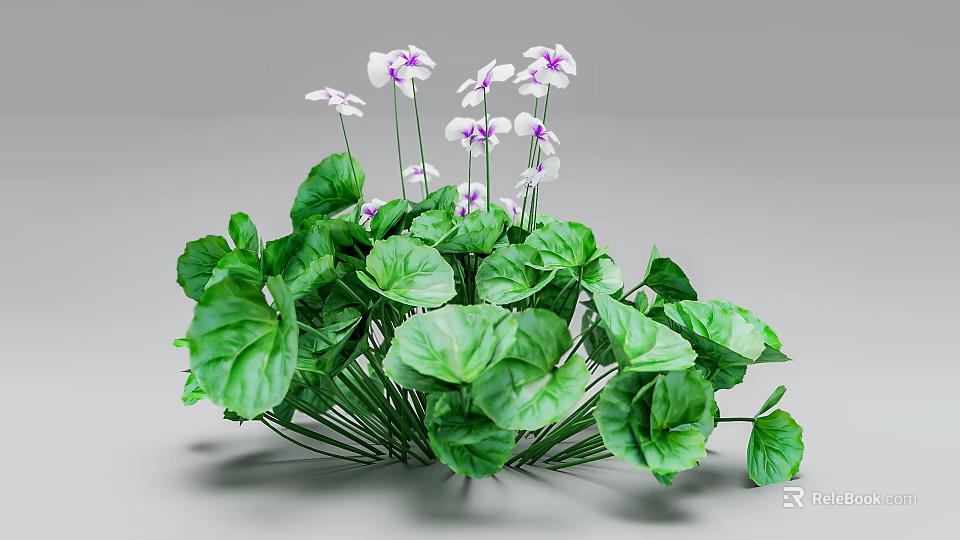 Lush Green Leaves And White Flowers With Purple Accents Growing Together 3d model 