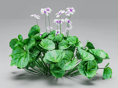 Lush Green Leaves And White Flowers With Purple Accents Growing Together 3d model