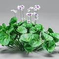 Lush Green Leaves And White Flowers With Purple Accents Growing Together
