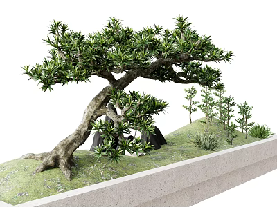 Curved Trunk Arbor With Lush Green Leaves Small Saplings Stones Grass In Rectangular Concrete Container 3d model