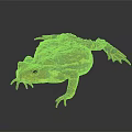 Red Brown Spotted Toad With Textured Skin Isolated On Gray Background 3d model
