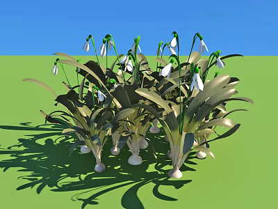 Snowdrops With Green Leaves And White Flowers Growing In Green Field Under Blue Sky 3d model