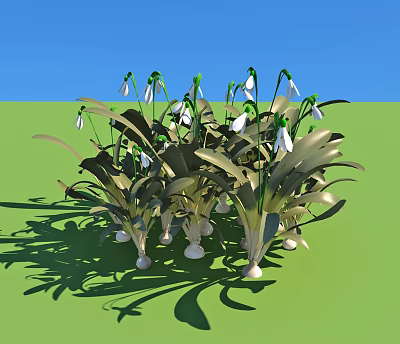 Modern Flower Snow Drop Flower 3d model