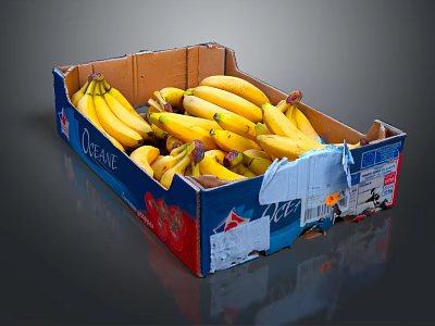 Fresh Ripe Bananas in an Open Cardboard Box with Torn Edges and Stickers 3d model