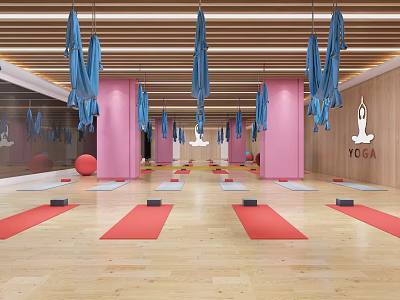 Bright Yoga Fitness Studio With Blue Hammocks Pink Pillars Wooden Floors Red Mats Black Blocks 3d model