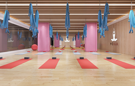 Modern Yoga Studio Taekwondo Gym Yoga Spinning 3d model