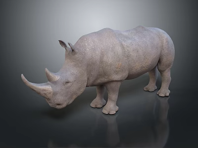 Realistic Rhinoceros 3D Model With Detailed Texture On Dark Reflective Surface 3d model