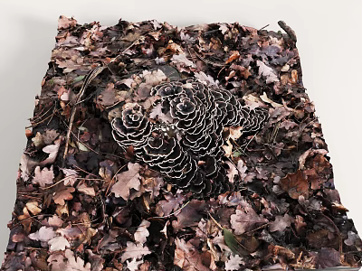 Detailed Microtopography Featuring Fallen Leaves And Pine Cone Textures 3d model