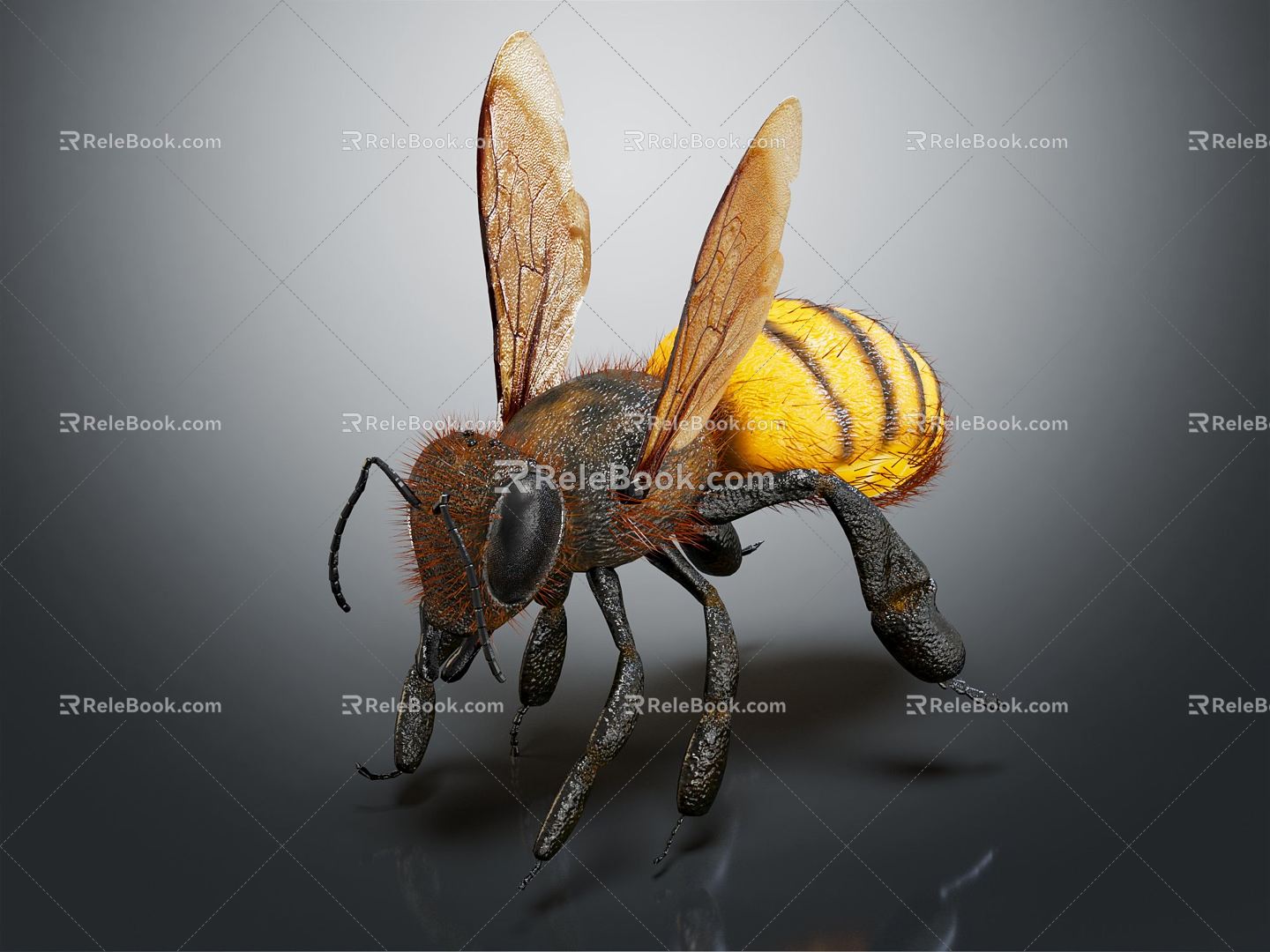 Modern Bees 3d model