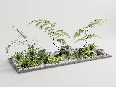 Miniature Garden Display With Ferns Rocks And White Pebbles On Tray 3d model