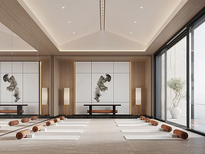 Spacious Modern Yoga Studio With Aligned Mats Blocks Natural Light And Zen Decor 3d model