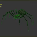 Detailed View Of Large Spider With Long Thin Legs And Brown Spotted Body