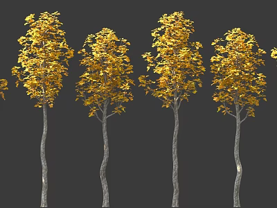 Scene Components Featuring Four Trees With Yellow Leaves And Brown Trunks 3d model