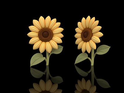 Yellow Sunflower Blooms With Green Leaves On Black Background And Reflections 3d model