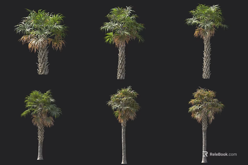 Diverse Arbor Specimens Featuring Various Palm Trees In Different Growth States On Black Background 3d model 
