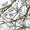 Blooming Trees With Curved Branches Featuring Standing And Seated People On Circular Base
