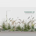 Miniature Garden Display With Various Grasses Small Pebbles And White Wall Backdrop 3d model