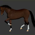 Brown Horse With Black Mane Tail And White Hooves Standing On Gray Reflective Surface