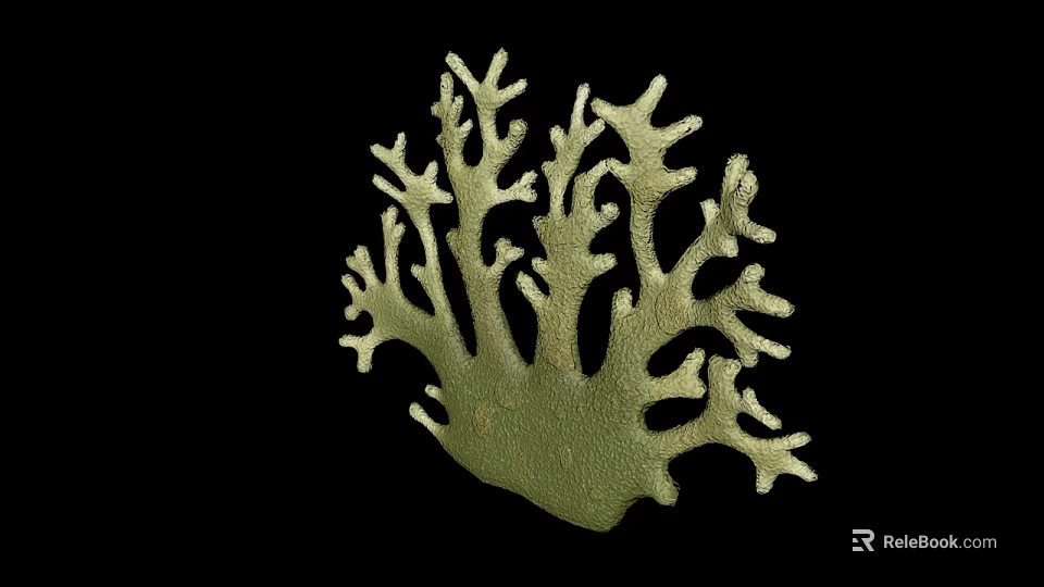Green Coral Reef Structure Providing Habitat For Marine Aquatic Animals 3d model 
