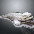 Detailed Crocodile Model with Scaly Skin Open Jaws Surrounded by Plants Rocks on Display Stand