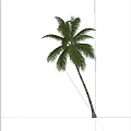 Tall Palm Tree With Lush Green Fronds Against Blue Sky And White Clouds