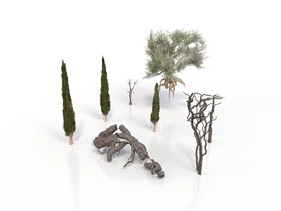 Collection of Various Plants Including Cypress Trees Olive Tree Dry Branches and Tree Roots 3d model