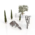 Collection of Various Plants Including Cypress Trees Olive Tree Dry Branches and Tree Roots