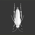 White Grasshopper Model With 3D Design On Dark Background And Reflection 3d model