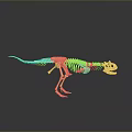 Detailed Dinosaur Skeleton Standing On Gray Gradient Background With Reflection Below