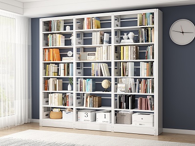 Modern Simple Storage Rack model