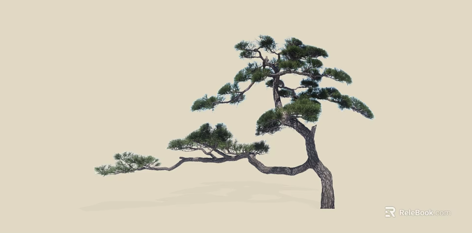 Pine Tree with Curved Branches Lush Green Needles and Elegant Shape Against Light Background 3d model 