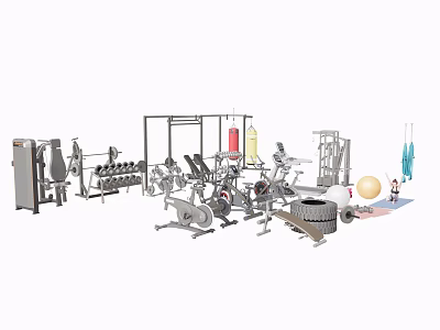 Complete Home Gym Equipment Set With Dumbbells Treadmill Punching Bag And Exercise Ball 3d model