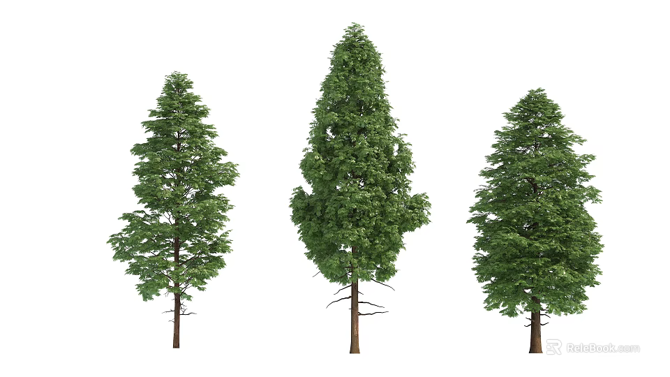 Three Different Arbor Trees With Lush Green Foliage And Straight Trunks 3d model 