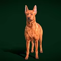 Brown Dog Standing In Alert Posture With Sleek Coat On Green Background