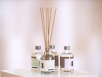 Decorative Ornament Set with Transparent Bottles Numbered Labels and Reed Sticks on White Stand 3d model