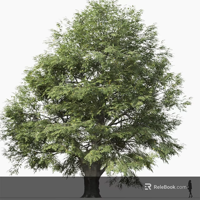 Lush Arbor With Green Foliage And Strong Trunk In Natural Setting 3d model 