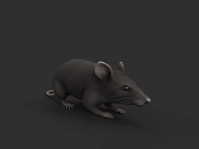 Gray 3D Model Mouse With Large Ears Small Eyes On Dark Background 3d model