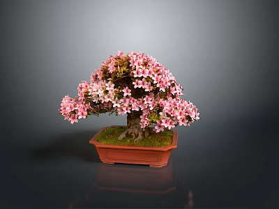 Beautiful Bonsai Plant With Pink Flowers In Brown Square Pot And Green Moss 3d model
