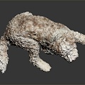 Modern Dog Pet Dog Pet 3d model