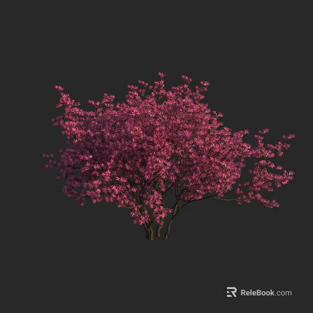 Lush Pink Flowering Shrub With Abundant Vibrant Blossoms Against Dark Backdrop 3d model 