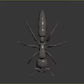 Metallic Ant 3D Model With Shiny Surface And Detailed Legs On Dark Background