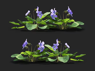 Vibrant Purple Flowering Plants With Lush Green Leaves And Delicate Petals 3d model