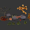 Colorful Marine Corals Seaweeds and Rocks Collection for Scene Design