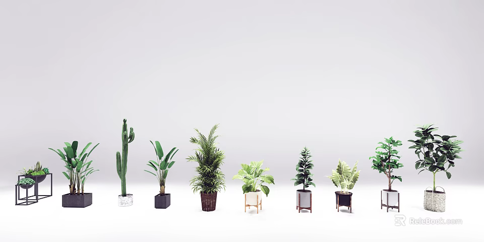 Indoor Decorative Bonsai Potted Plants Various Types With Unique Planters 3d model 