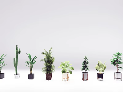 Indoor Decorative Bonsai Potted Plants Various Types With Unique Planters 3d model