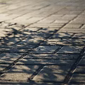 Gray Outdoor Floor Tiles Neatly Arranged With Natural Tree Leaf Shadows